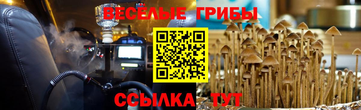 Галлюциногенные грибы мухоморы  Псилоцибиновые грибы прущие грибы  где можно купить наркотик  Борисоглебск  Вход с VPN 